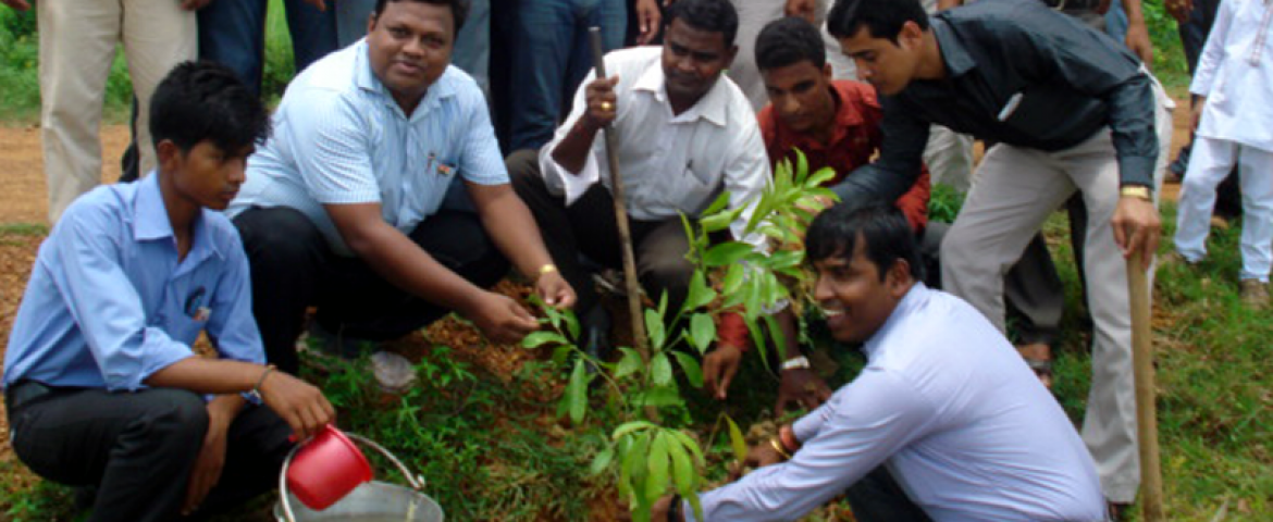 K N Group Conducts Tree Plantation Drive