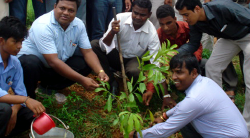 K N Group Conducts Tree Plantation Drive
